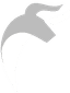 Vantage AI Solutions